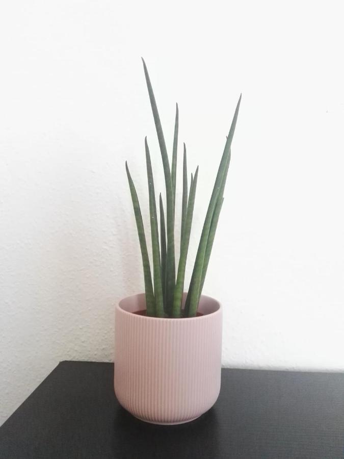 Balcon Al Mar 호텔 발렌시아 외부 사진
